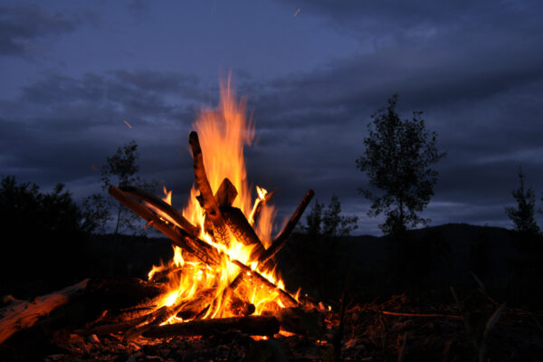 Expeditie The art of True Leadership