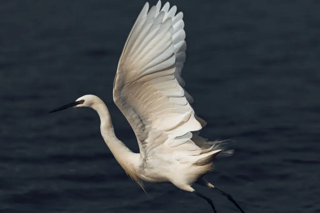 Training Startend Manager