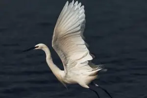 Training Startend Manager